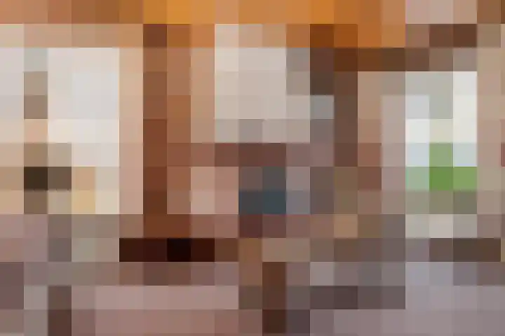 Houtpad 6 Schijndel thumbnail 9