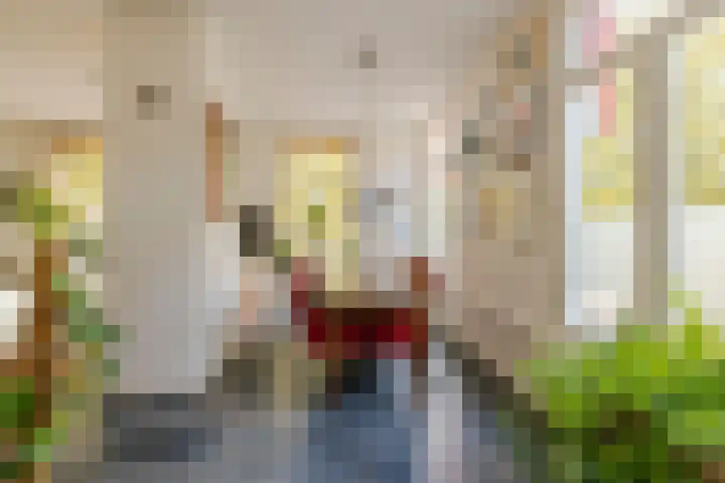 Houtplein 20 RD Haarlem thumbnail 11