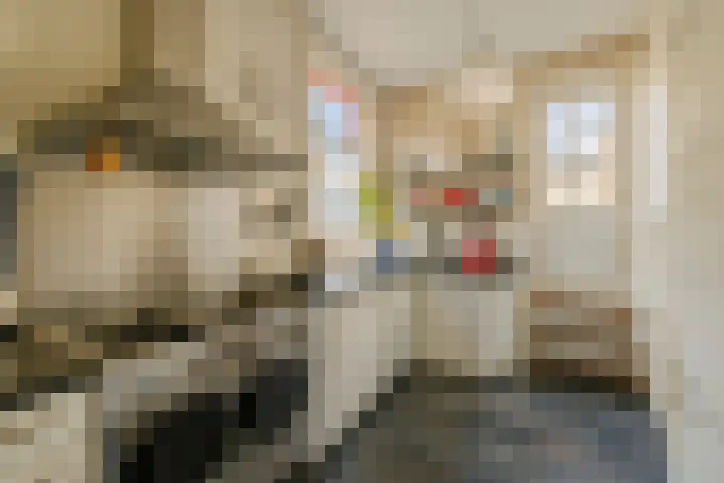 Houtplein 20 RD Haarlem thumbnail 15