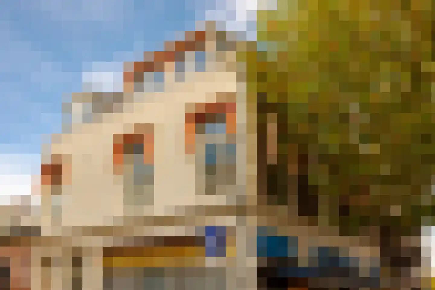 Houtplein 20 RD Haarlem thumbnail 22