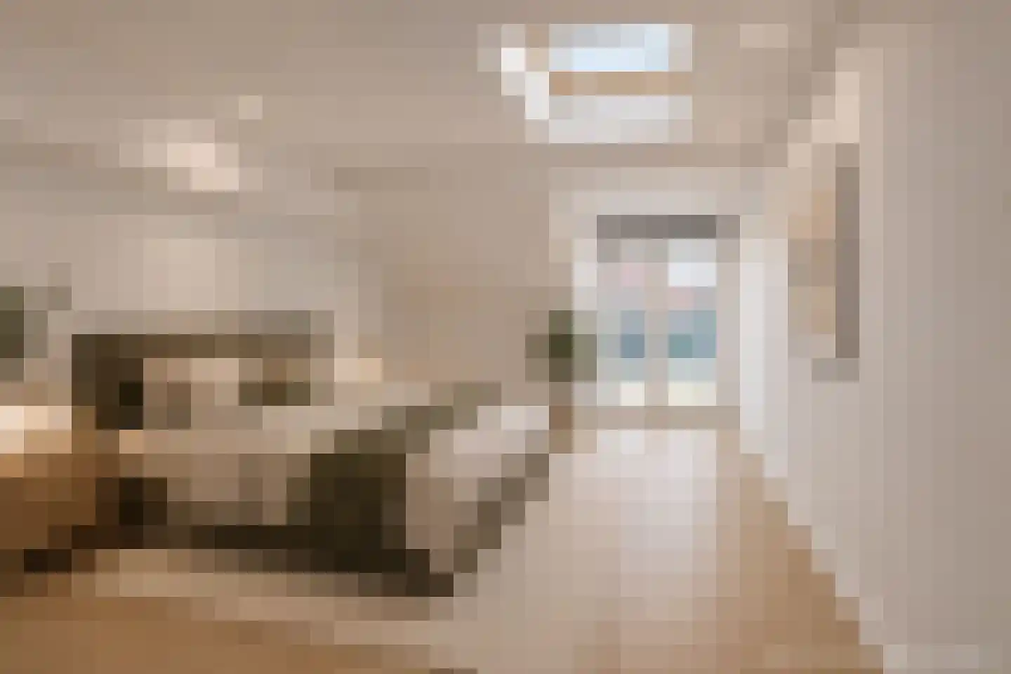 Houtplein 20 RD Haarlem thumbnail 34