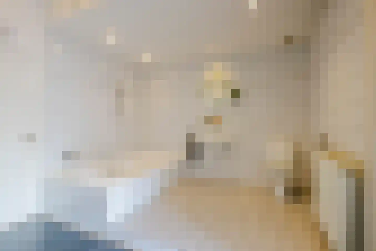 Houtplein 20 RD Haarlem thumbnail 38