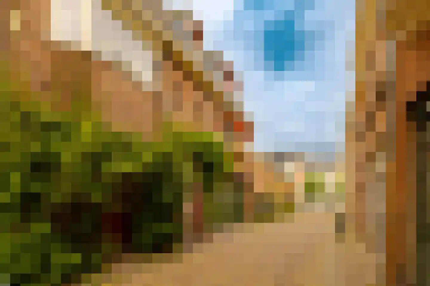 Houtplein 20 RD Haarlem thumbnail 58
