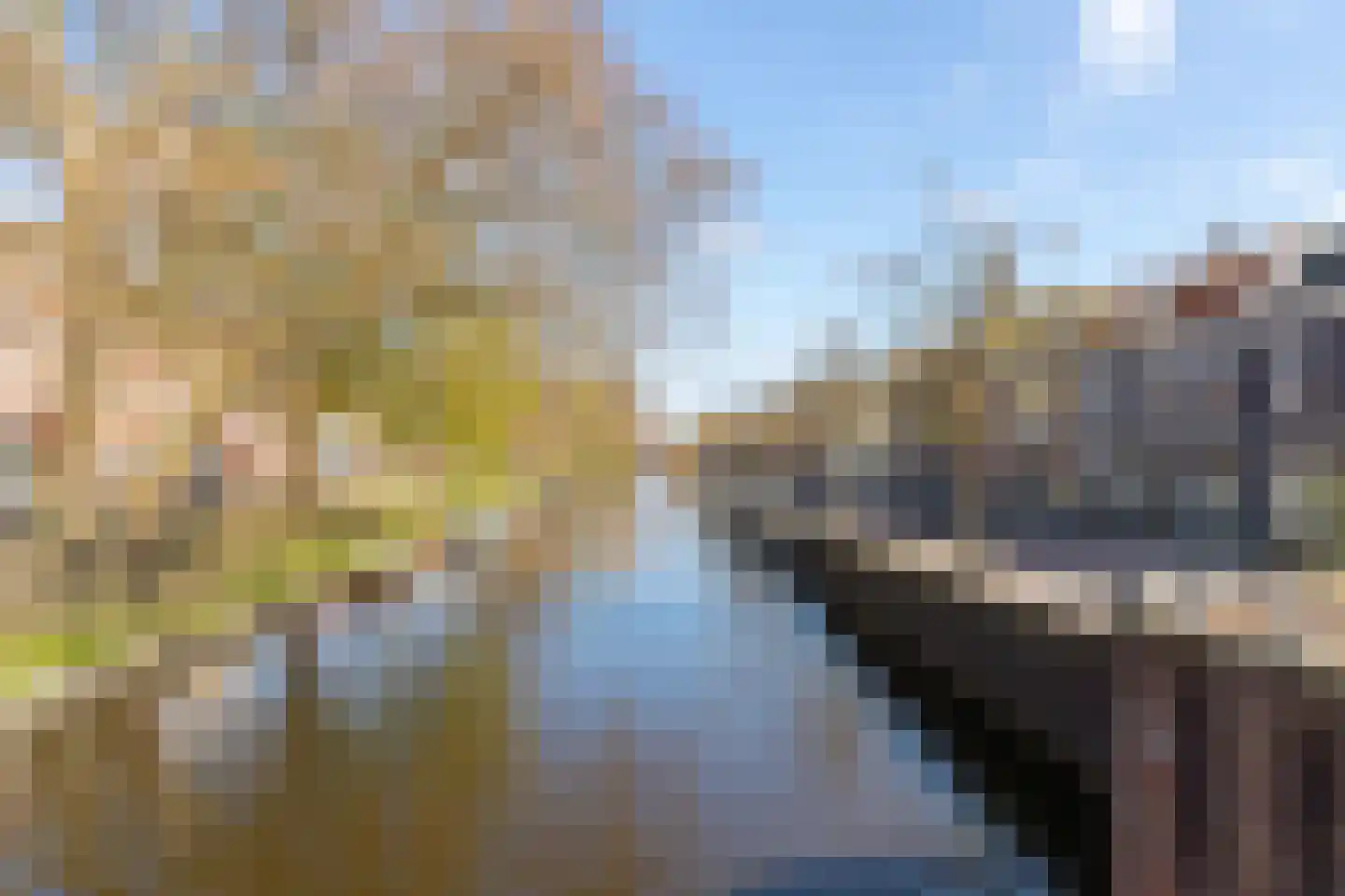 Houtplein 8 Haarlem thumbnail 6