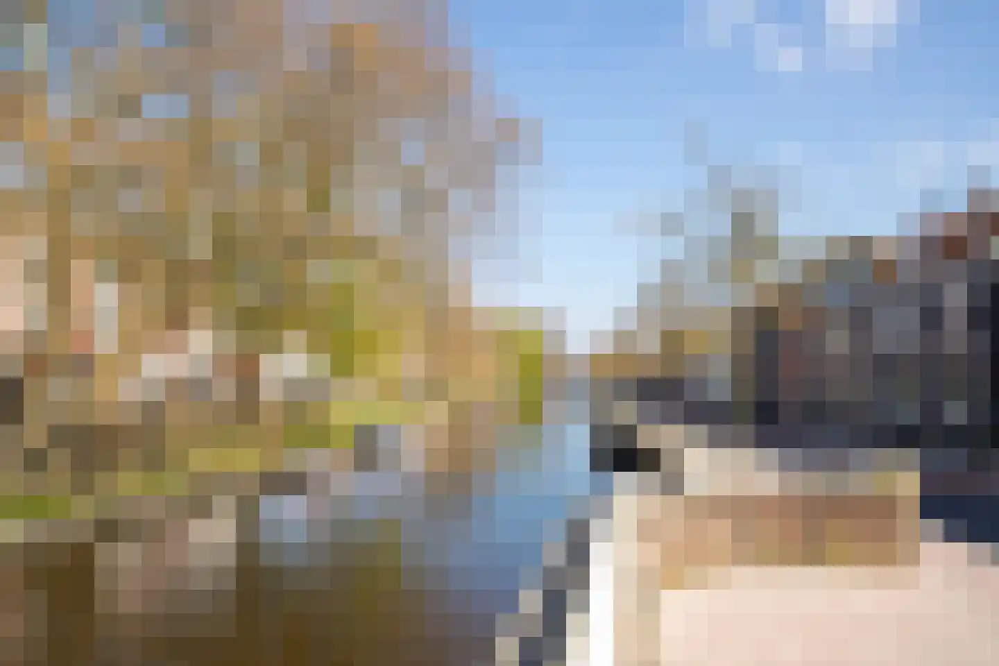 Houtplein 8 Haarlem thumbnail 7