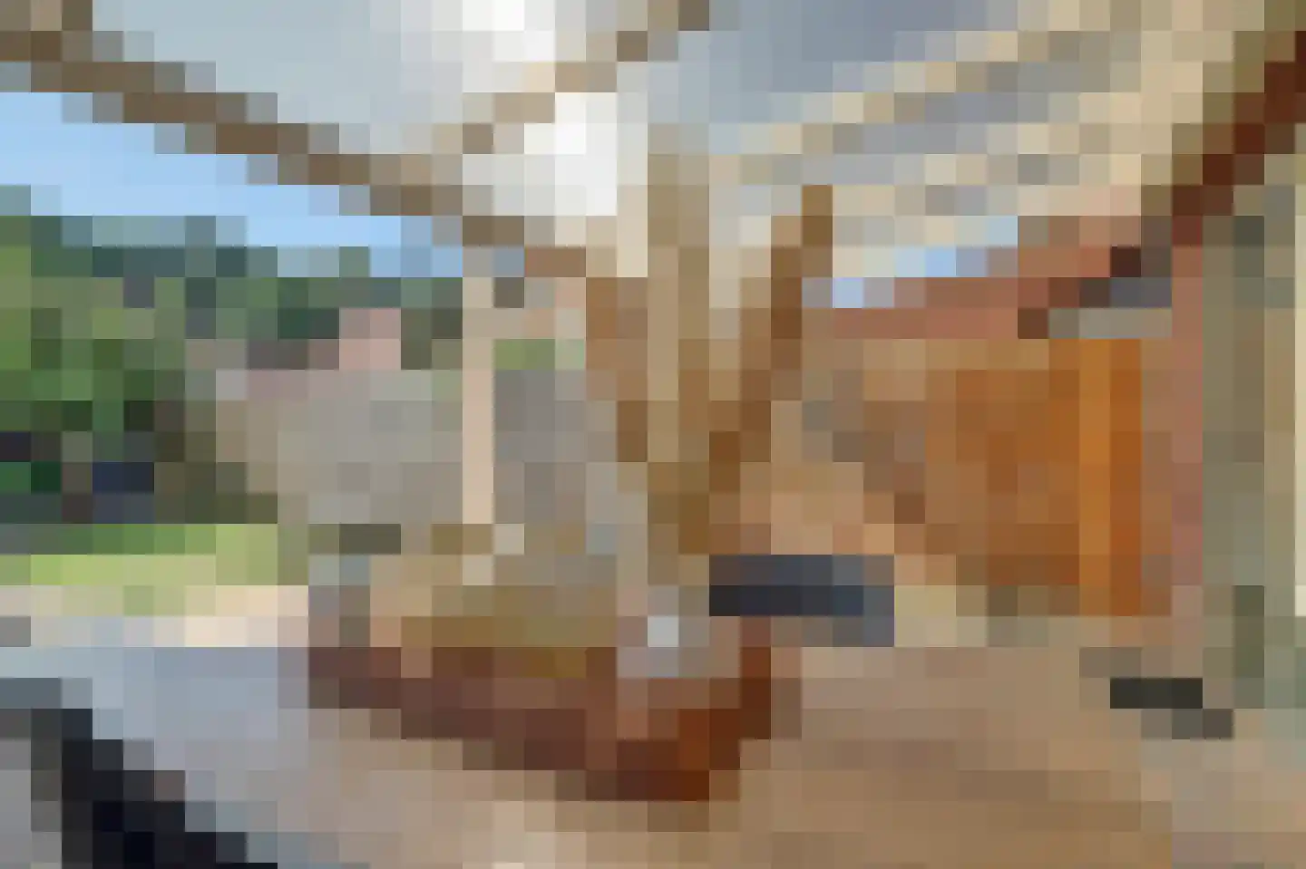 Houtrakbos 15 Ede thumbnail 26