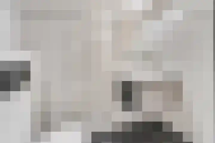 Houtrakbos 26 Ede thumbnail 19