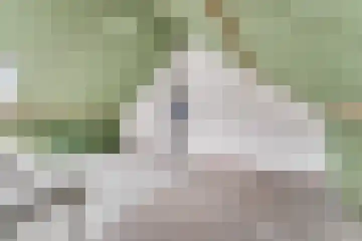 Houtrakbos 26 Ede thumbnail 21