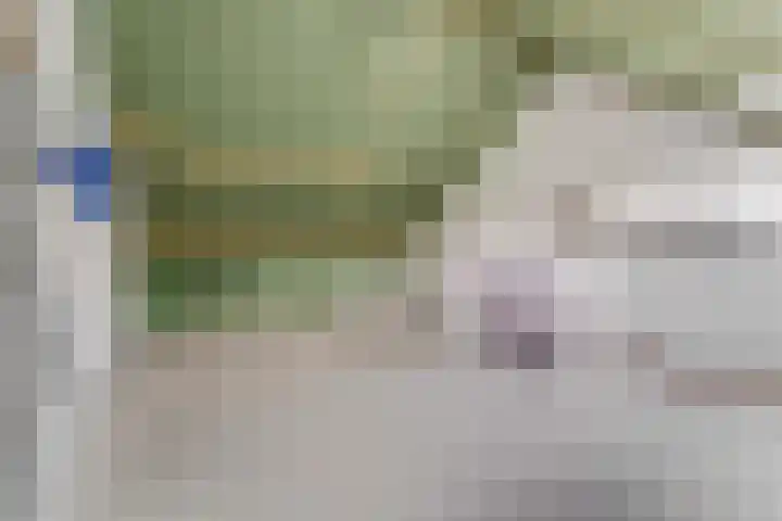 Houtrakbos 26 Ede thumbnail 22