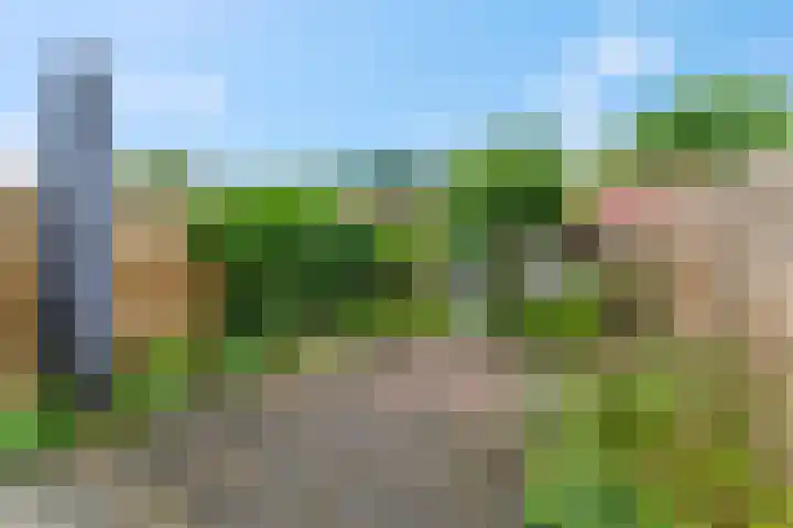 Houtrakbos 26 Ede thumbnail 23