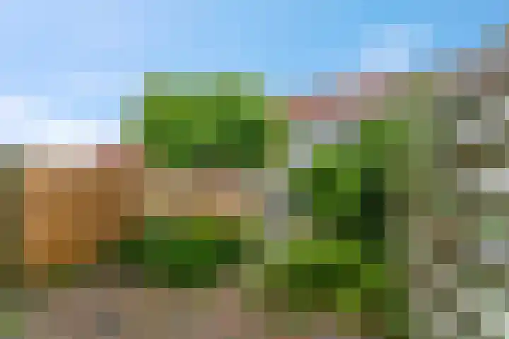 Houtrakbos 26 Ede thumbnail 24