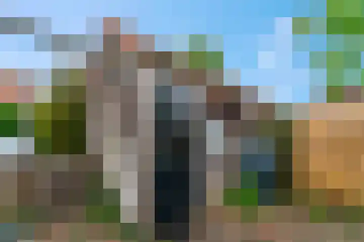 Houtrakbos 26 Ede thumbnail 25