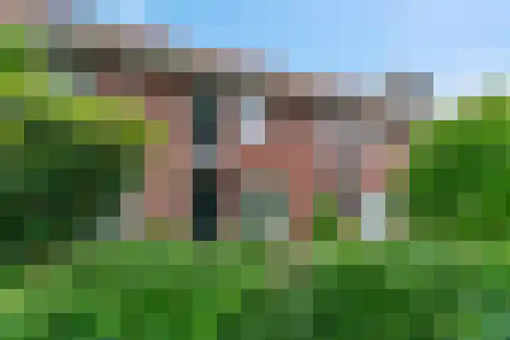 Houtrakbos 26 Ede thumbnail 28