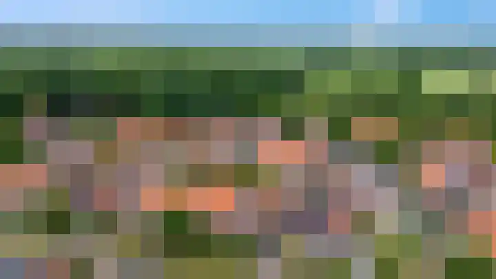 Houtrakbos 26 Ede thumbnail 32