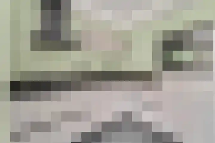Houtrakbos 26 Ede thumbnail 9