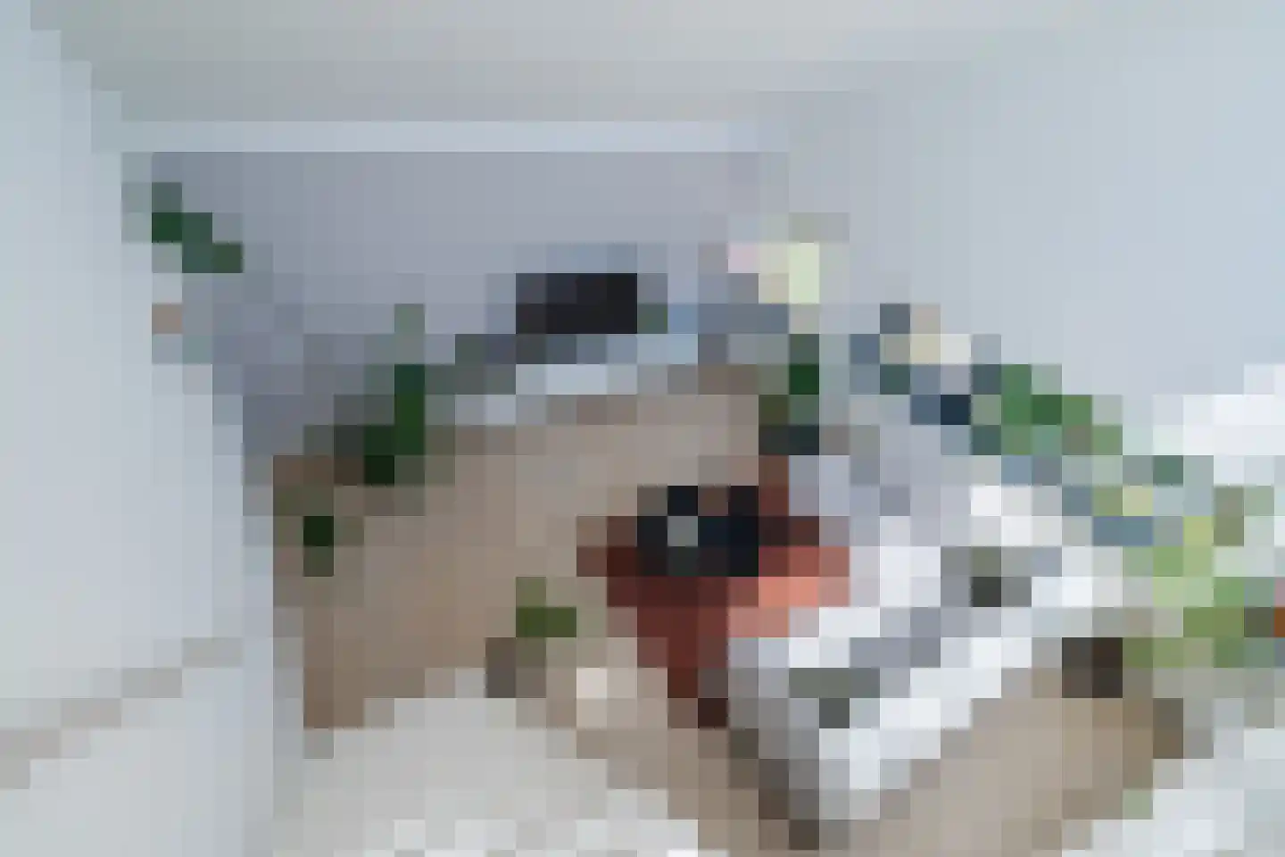 Houtrakgracht 148 Utrecht thumbnail 31