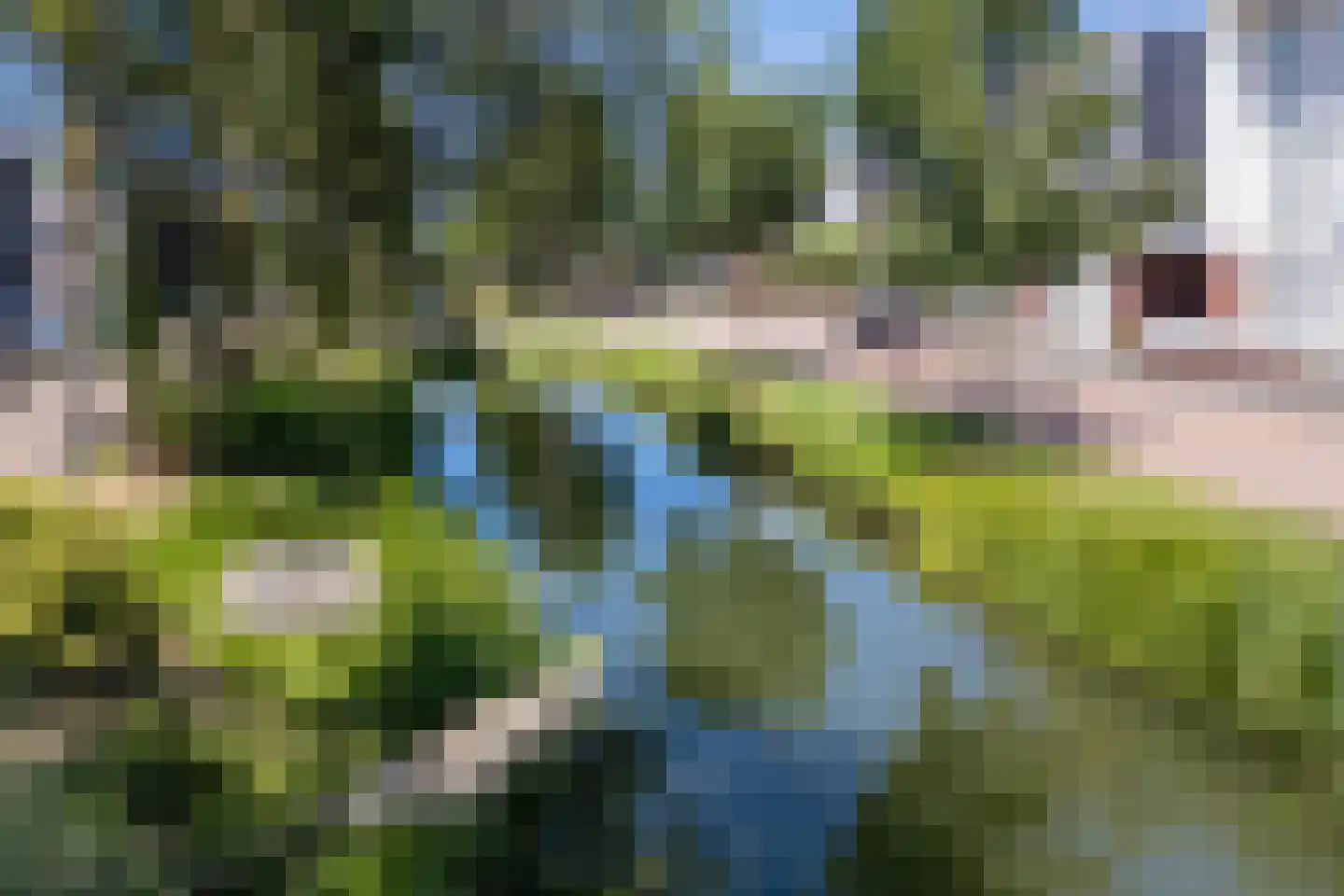 Houtrakgracht 148 Utrecht thumbnail 35