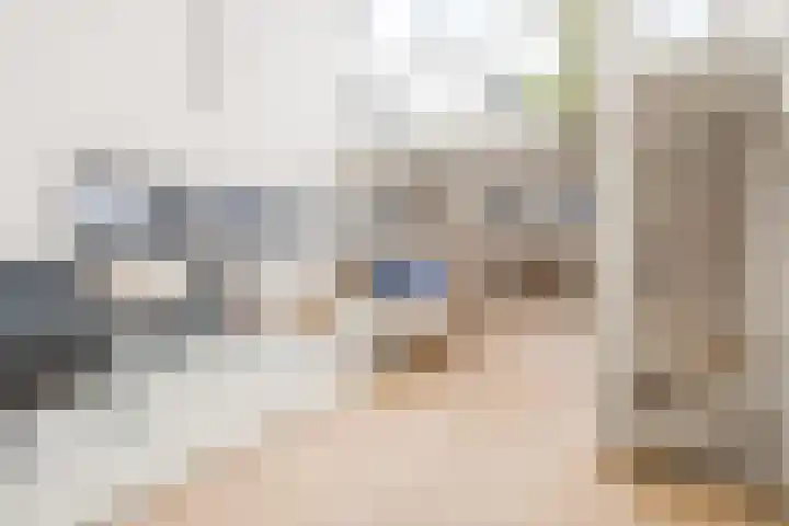 Houtrakgracht 160 Utrecht thumbnail 13