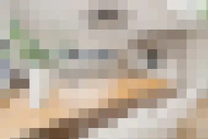 Houtrakgracht 160 Utrecht thumbnail 15