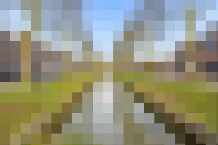 Houtrakgracht 160 Utrecht thumbnail 39