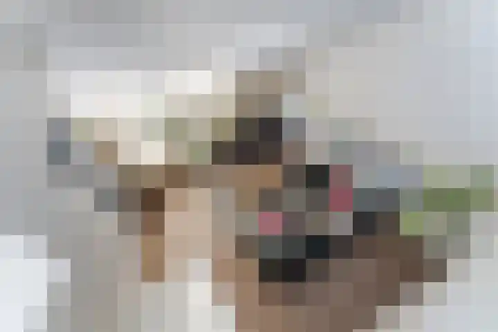 Houtrakgracht 164 Utrecht thumbnail 18
