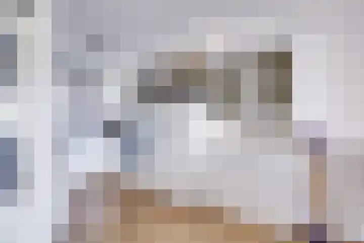 Houtrakgracht 221 Utrecht thumbnail 17