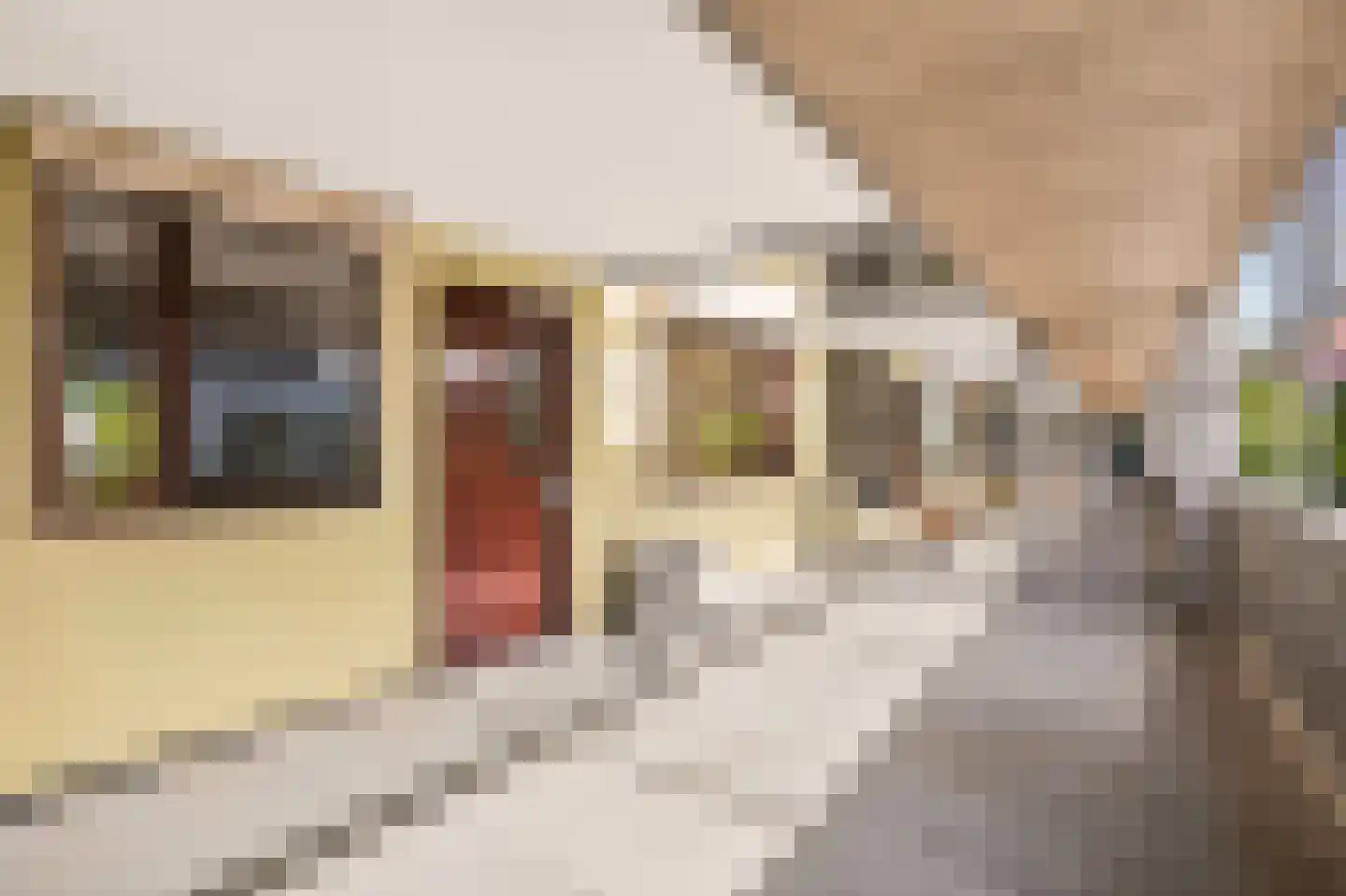 Houtrakgracht 227 Utrecht thumbnail 19