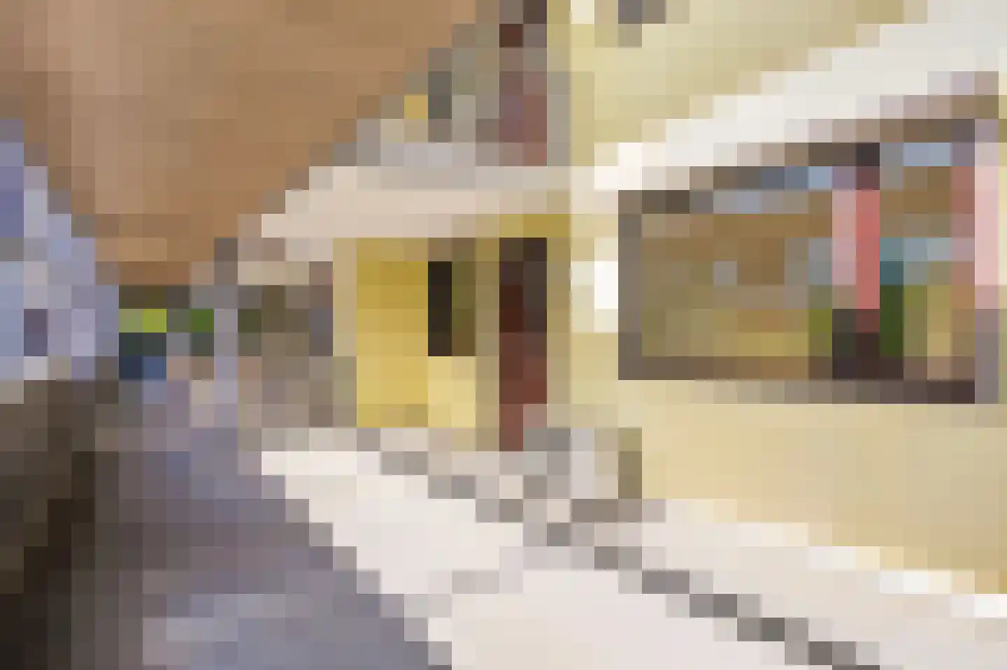 Houtrakgracht 227 Utrecht thumbnail 20