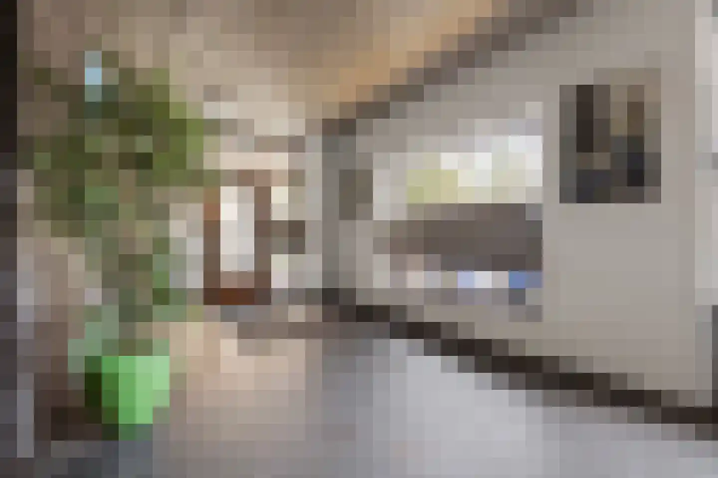 Houtrakgracht 227 Utrecht thumbnail 23