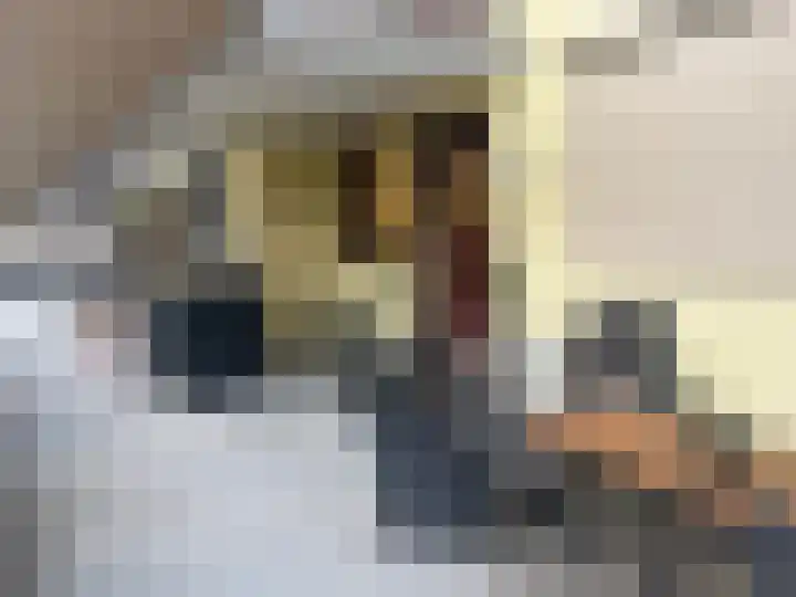 Houtrakgracht 227 Utrecht thumbnail 28