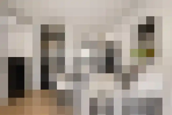 Houtrakgracht 227 Utrecht thumbnail 4
