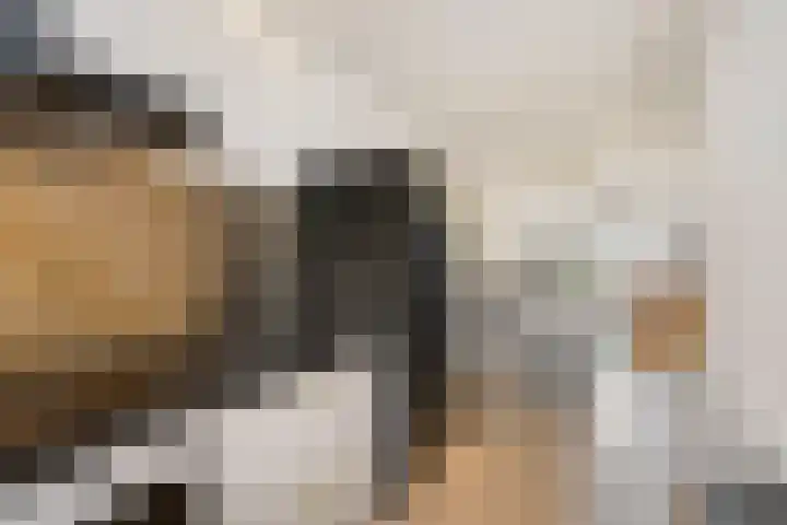Houtrakgracht 227 Utrecht thumbnail 7