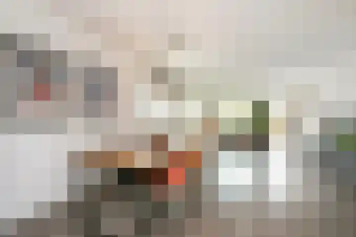 Houtrakgracht 247 Utrecht thumbnail 12