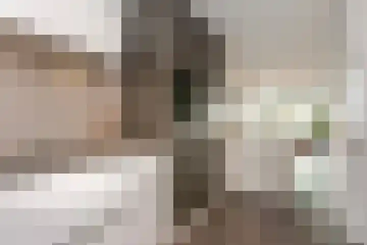 Houtrakgracht 247 Utrecht thumbnail 19