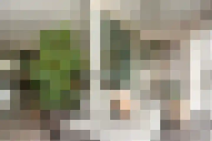 Houtrakgracht 247 Utrecht thumbnail 21