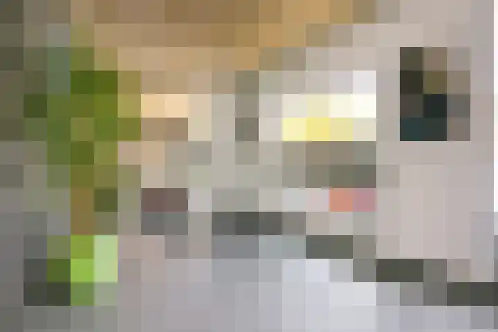 Houtrakgracht 247 Utrecht thumbnail 5