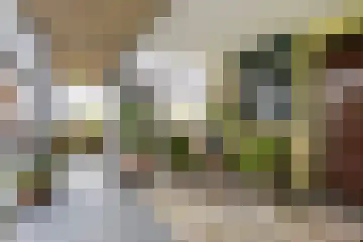 Houtrakgracht 247 Utrecht thumbnail 7