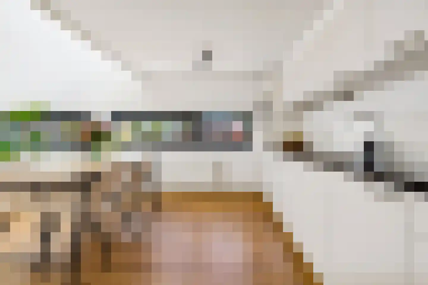 Houtrakgracht 266 Utrecht thumbnail 16