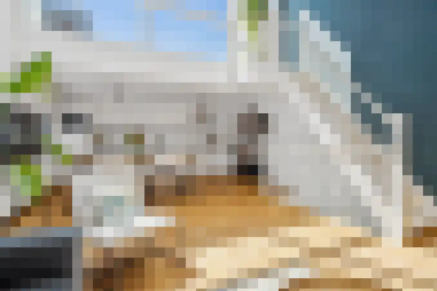 Houtrakgracht 266 Utrecht thumbnail 5