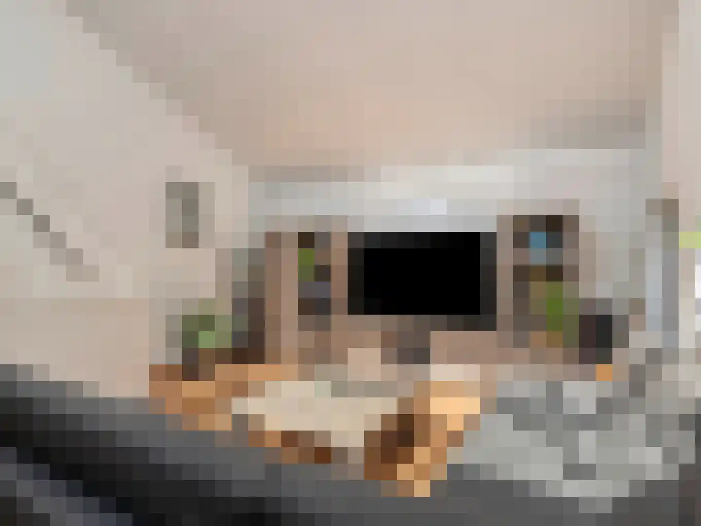 Houtrakgracht 272 Utrecht thumbnail 18