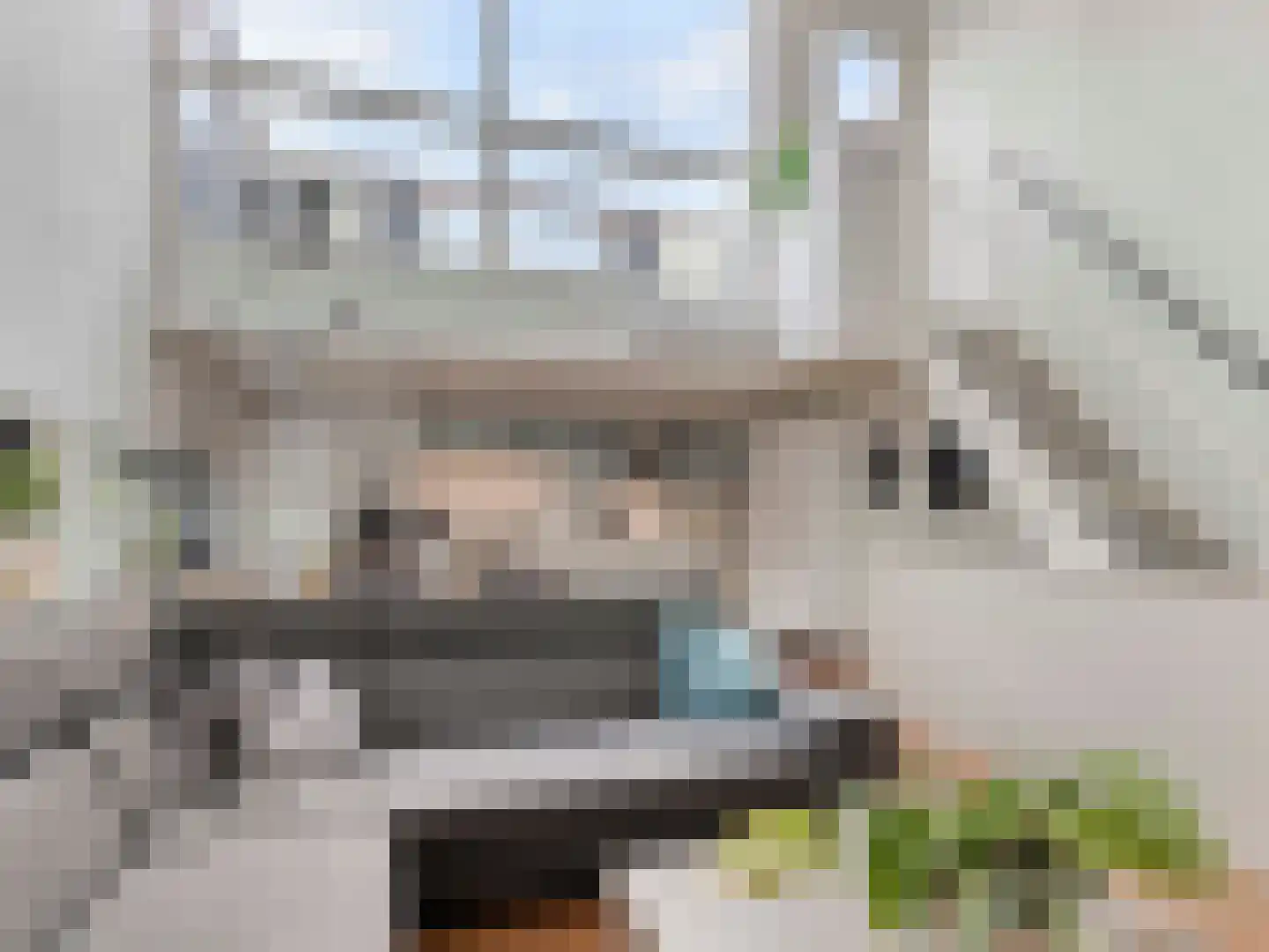 Houtrakgracht 272 Utrecht thumbnail 4