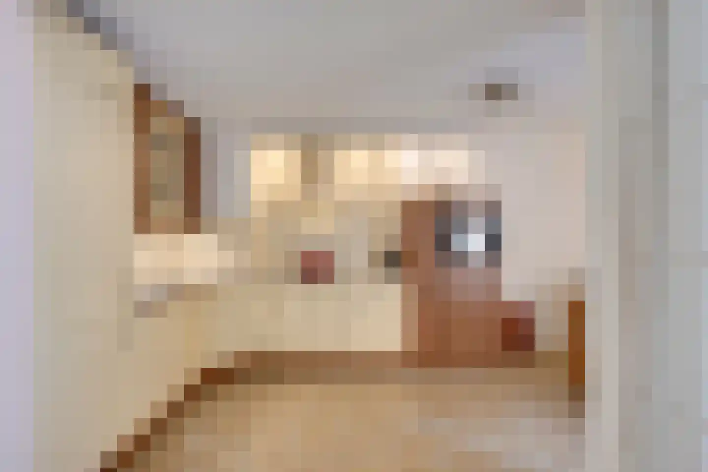 Houtrakgracht 532 Utrecht thumbnail 16