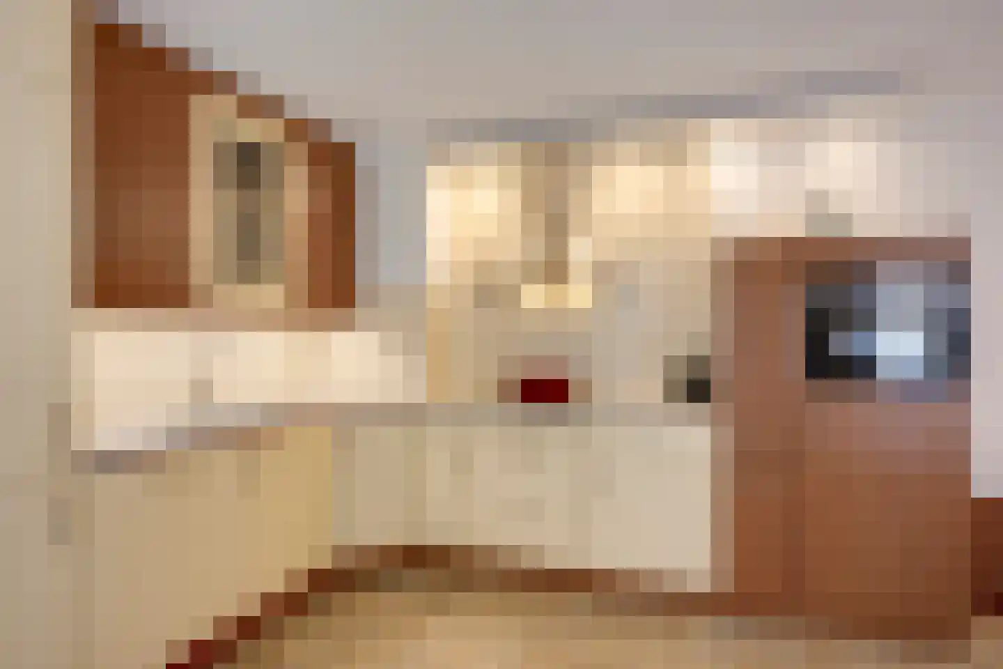 Houtrakgracht 532 Utrecht thumbnail 17