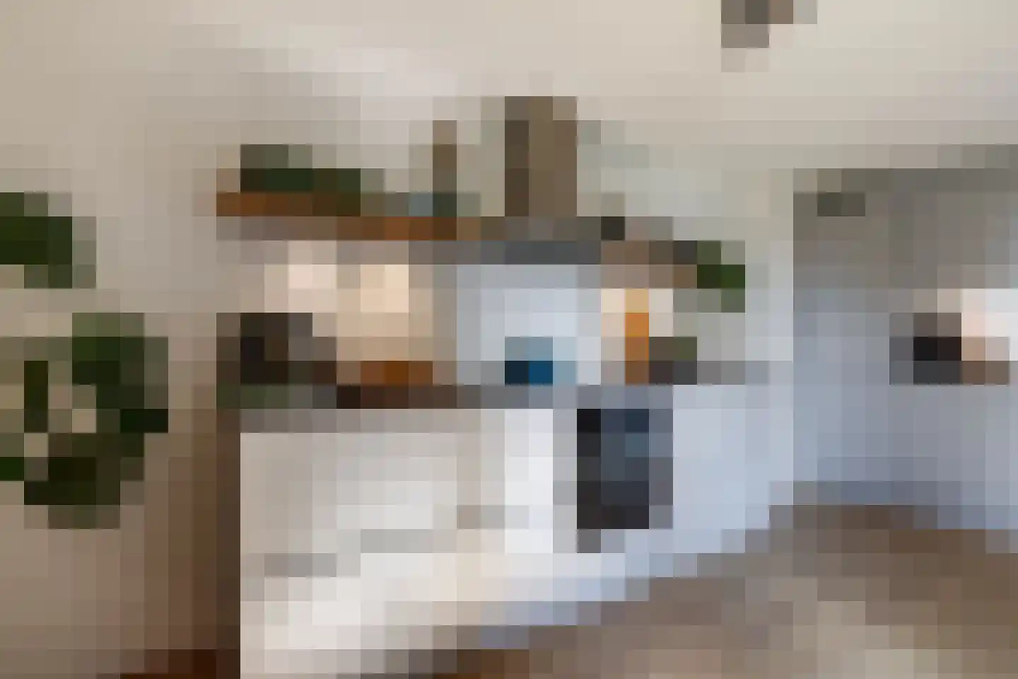 Houtrakgracht 560 Utrecht thumbnail 11