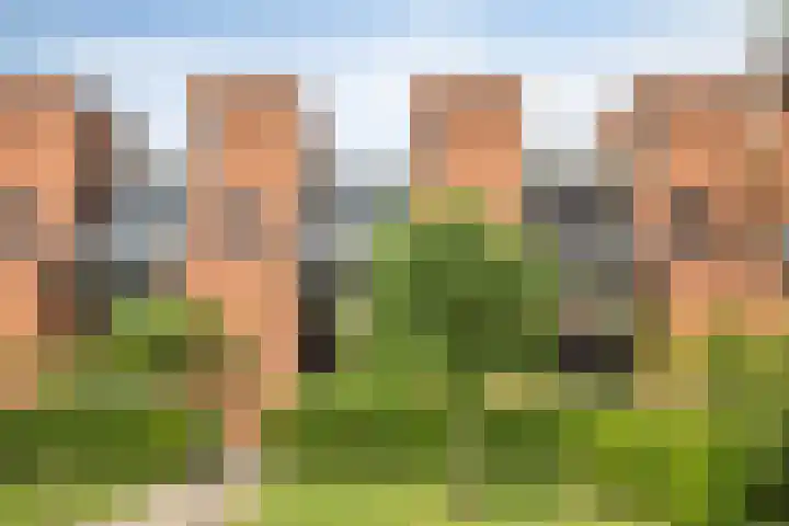 Houtrakgracht 562 Utrecht thumbnail 36