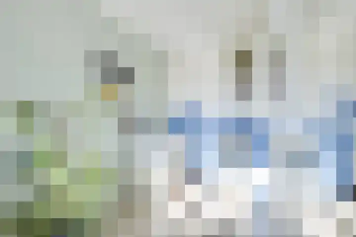 Houtrakkade 27 De Meern thumbnail 32