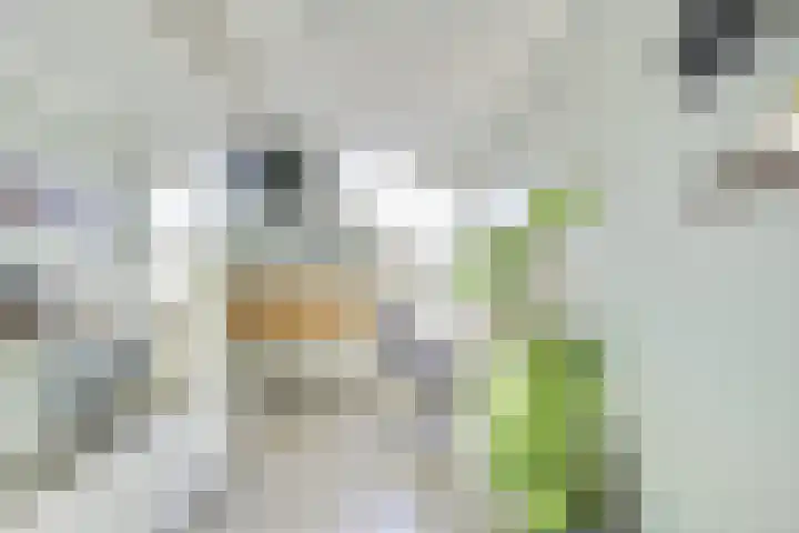 Houtrakkade 27 De Meern thumbnail 33