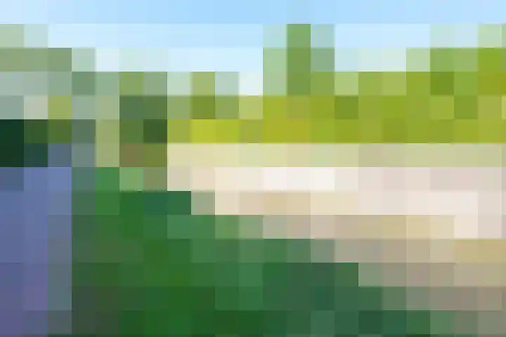 Houtrakkade 27 De Meern thumbnail 38