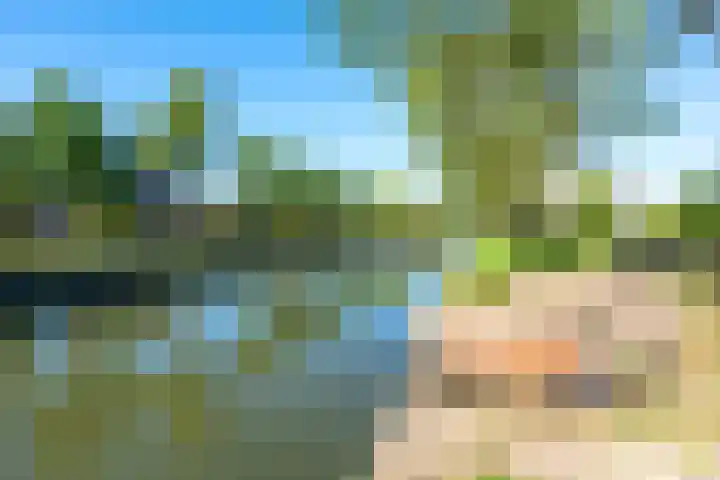 Houtrakkade 27 De Meern thumbnail 39