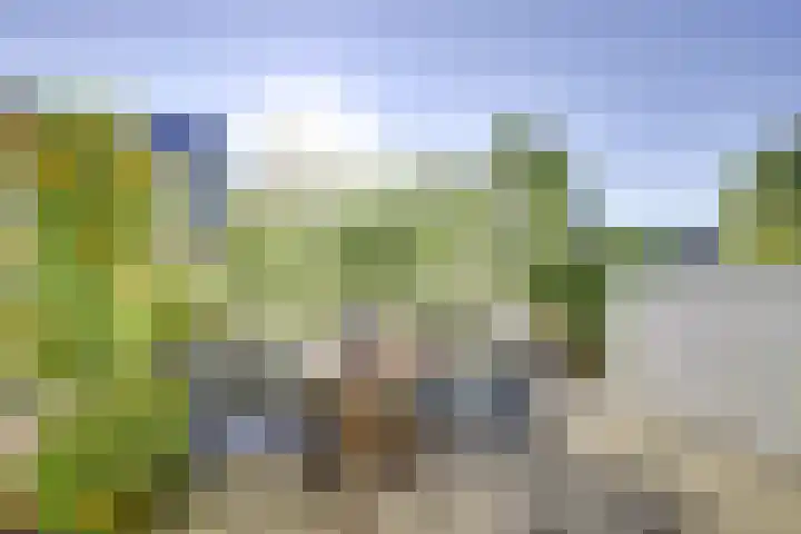 Houtrakkade 27 De Meern thumbnail 4